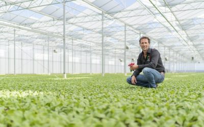 ‘Ik weet zelf te weinig van camera’s’