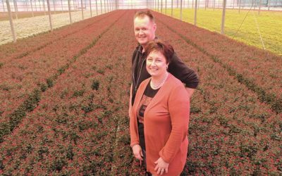 Chrysantenkwekerij Westeringh Flowers sloot het hele glastuinbouwpakket over naar LTO Verzekeringen