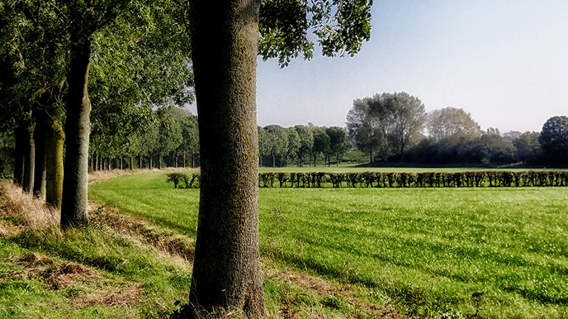 Kies voor CO₂ gecompenseerd gas