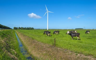 Groene stroom van boeren uit eigen land gewild