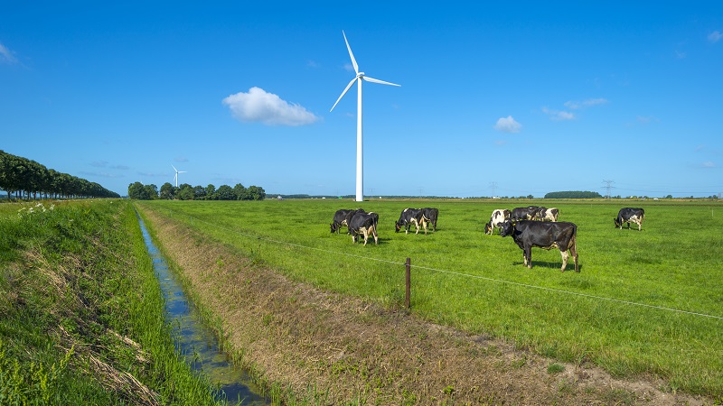 Groene stroom van boeren uit eigen land gewild