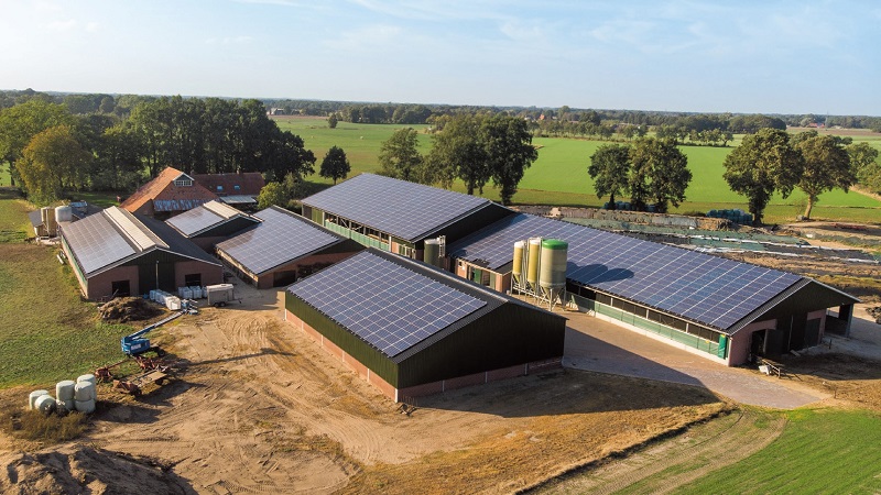 Waar moet je op letten bij de aanschaf van zonnepanelen?