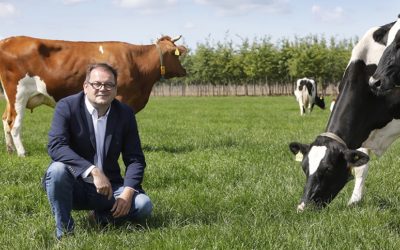 Goed verzekerd bij snel veranderende regelgeving