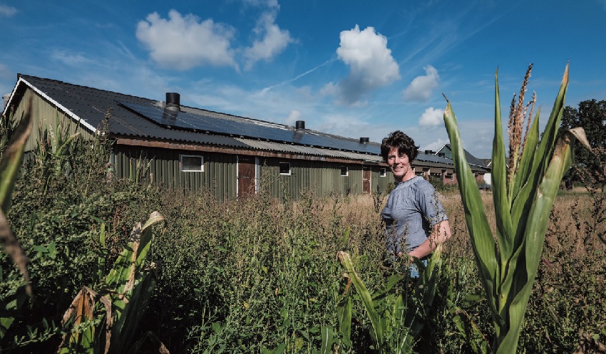 ‘Zonnepanelen passen bij maatschappelijk verantwoord ondernemen’