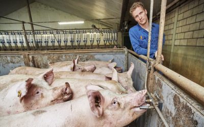 Schoon water goed voor de dieren