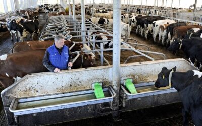 ‘Schoon drinkwater vee hoort bij duurzaam boeren’