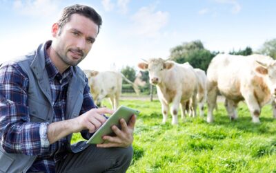 Betrouwbare alarmering met Octalarm voor veeteelt en tuinbouw