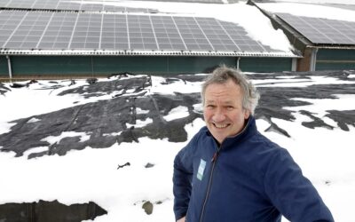 Zonnepanelen kunnen een mooi rendement opleveren