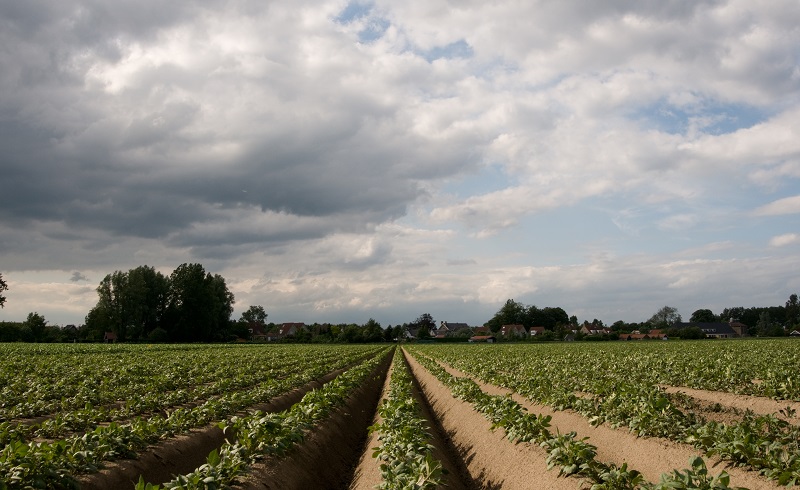 MoveRTK is een klein, maar vitaal schakeltje in de nauwkeurigheid voor precisielandbouw