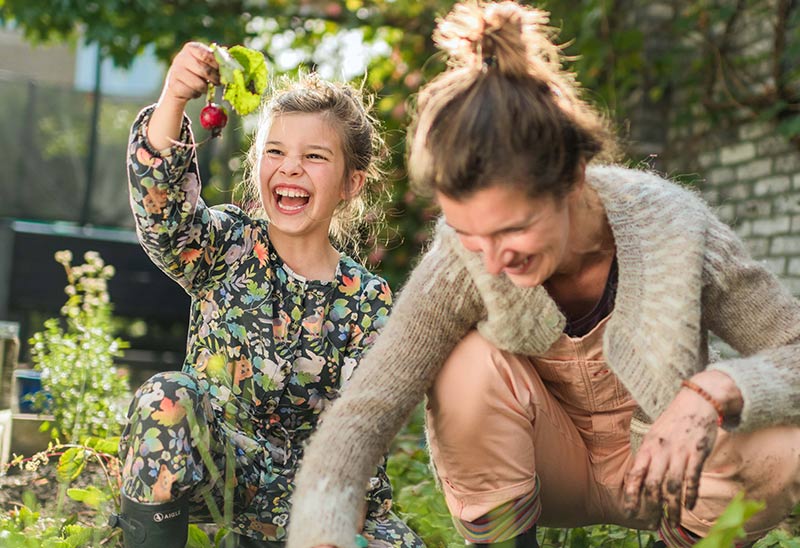 Waar moet u op letten bij de basispremie?