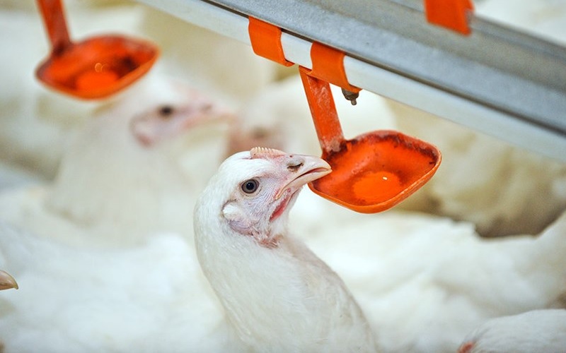 Biofilm in drinkwaterlijnen is verleden tijd