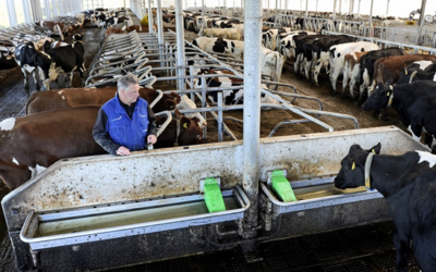 Diergezondheid op topniveau met duurzame drinkwater- en klauwdesinfectie