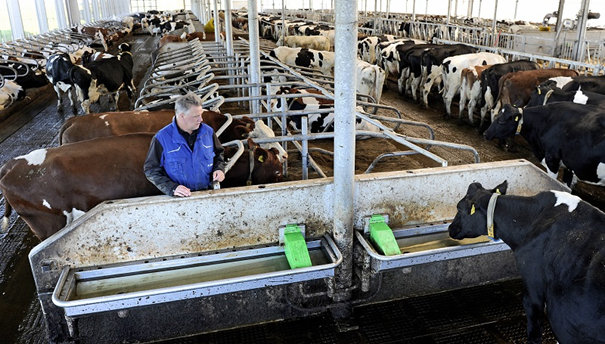 Diergezondheid op topniveau met duurzame drinkwater- en klauwdesinfectie