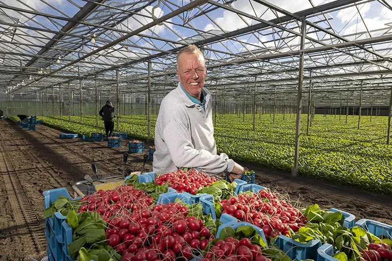 Schade zonder gezeur en gedoe vergoed