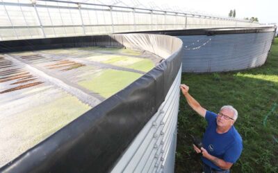 Keuring watersilo is bepaald geen formaliteit