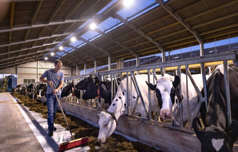 Kies ook voor zuinige en dimbare ledverlichting in de stal